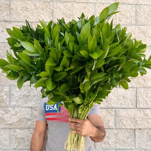 Fresh Israeli Ruscus Bundle, California Grown Eucalyptus