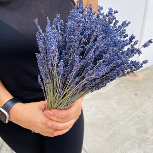 Puede incluir: Un gran ramo de flores de lavanda secas en tonos de morado y azul. Las flores est&aacute;n en manos de una persona que lleva un top negro sin mangas y pantalones negros.
