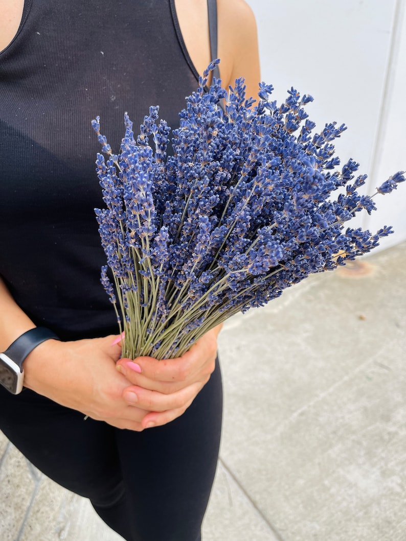 Puede incluir: Un gran ramo de flores de lavanda secas en tonos de morado y azul. Las flores est&aacute;n en manos de una persona que lleva un top negro sin mangas y pantalones negros.