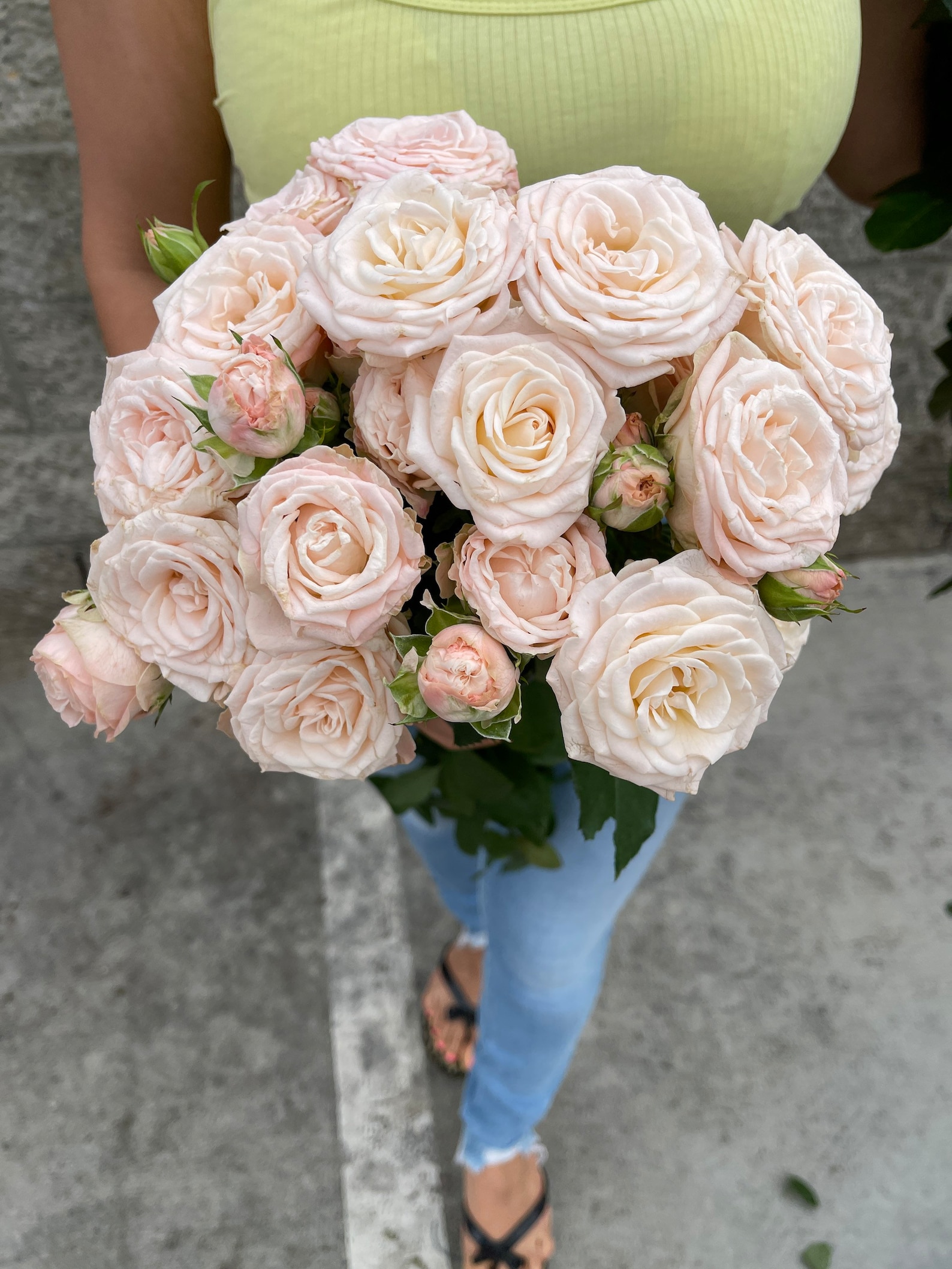 Fresh Bombastic Garden Spray Roses Luxury Garden Spray Roses Etsy