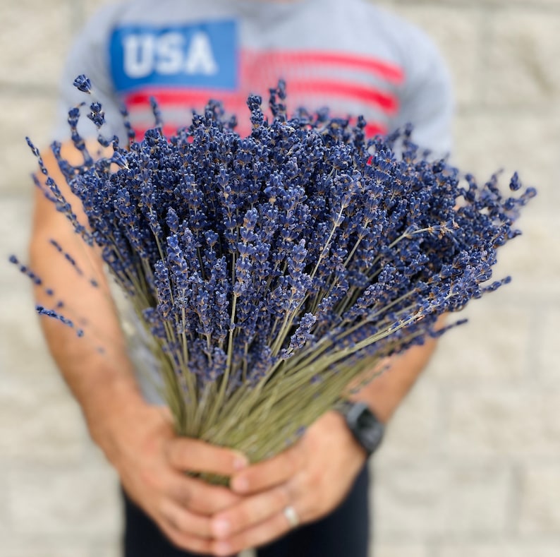 Puede incluir: Un gran ramo de flores de lavanda secas, sostenido por una persona que lleva una camisa roja, blanca y azul con la palabra "USA" en ella.