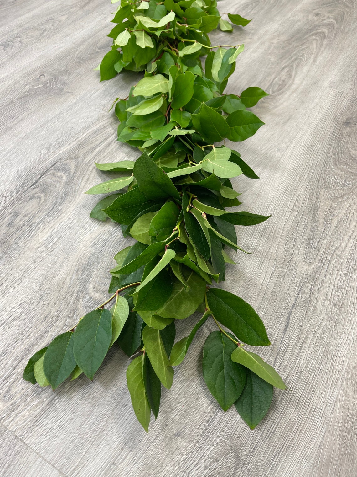 Fresh Garland Salal Lemon Leaf// Natural Salal Combo Garland Etsy