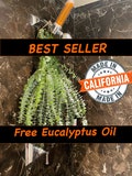 Fresh Eucalyptus Shower Bundle: Aromatherapy Spa Gift for Sinus Relief
