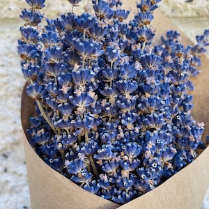 LAVENDER GIFT