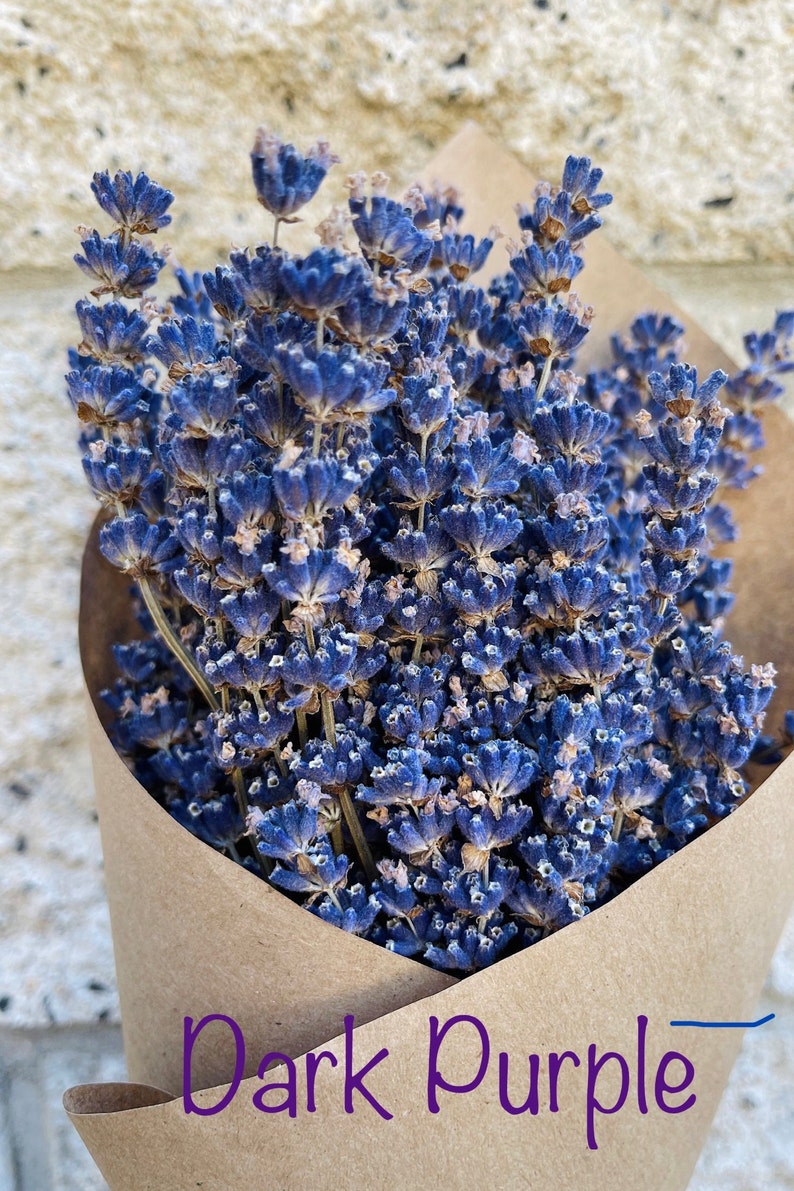 LAVENDER GIFT