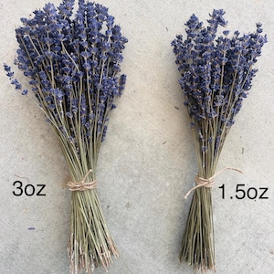 english lavender