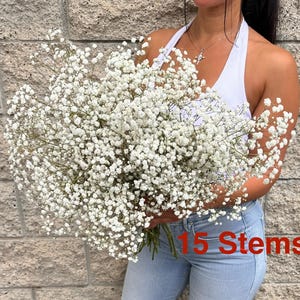 Ramo de Gypsophila blanca XL: aliento de bebé fresco, decoración para bodas y hogar 2 XL Grower Bunch