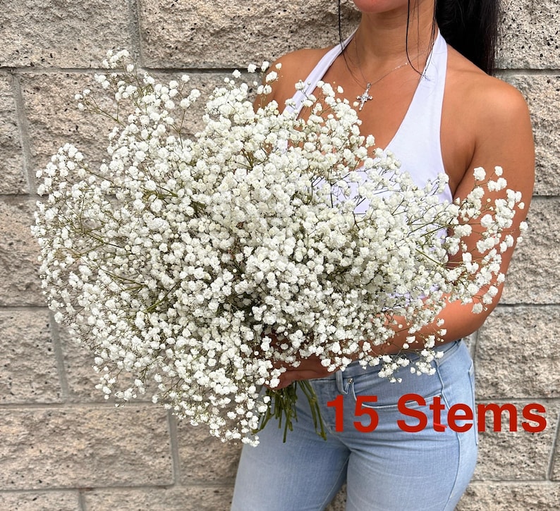 Ramo de Gypsophila blanca XL: aliento de bebé fresco, decoración para bodas y hogar 2 XL Grower Bunch