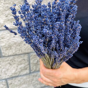 Puede incluir: Un ramo de flores de lavanda secas en tonos de morado y azul. Las flores est&aacute;n dispuestas en un ramo y tienen un aspecto natural y r&uacute;stico.