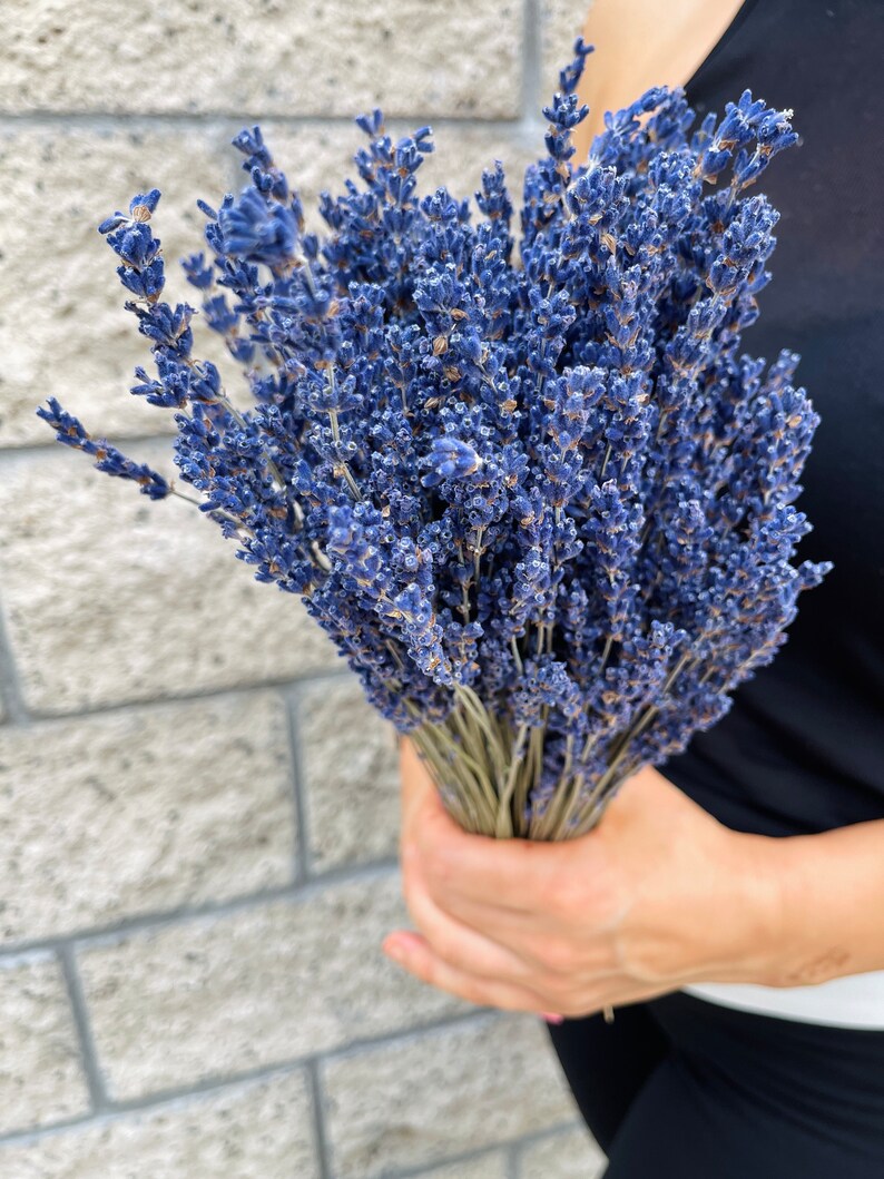 Puede incluir: Un ramo de flores de lavanda secas en tonos de morado y azul. Las flores est&aacute;n dispuestas en un ramo y tienen un aspecto natural y r&uacute;stico.