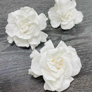 Real White Gardenia Blooms - 3 Preserved Gardenias - Naturally Grown