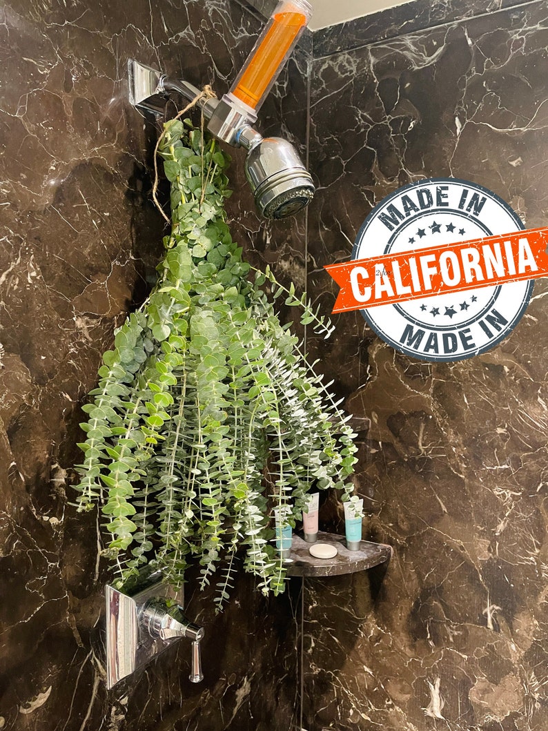 Large Fresh Eucalyptus Shower Bundle Aromatherapy Shower Etsy