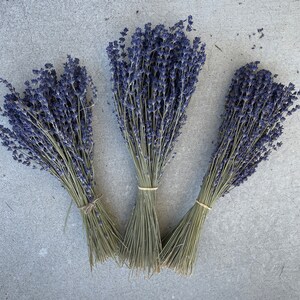 dried lavender flowers
english lavender bulk