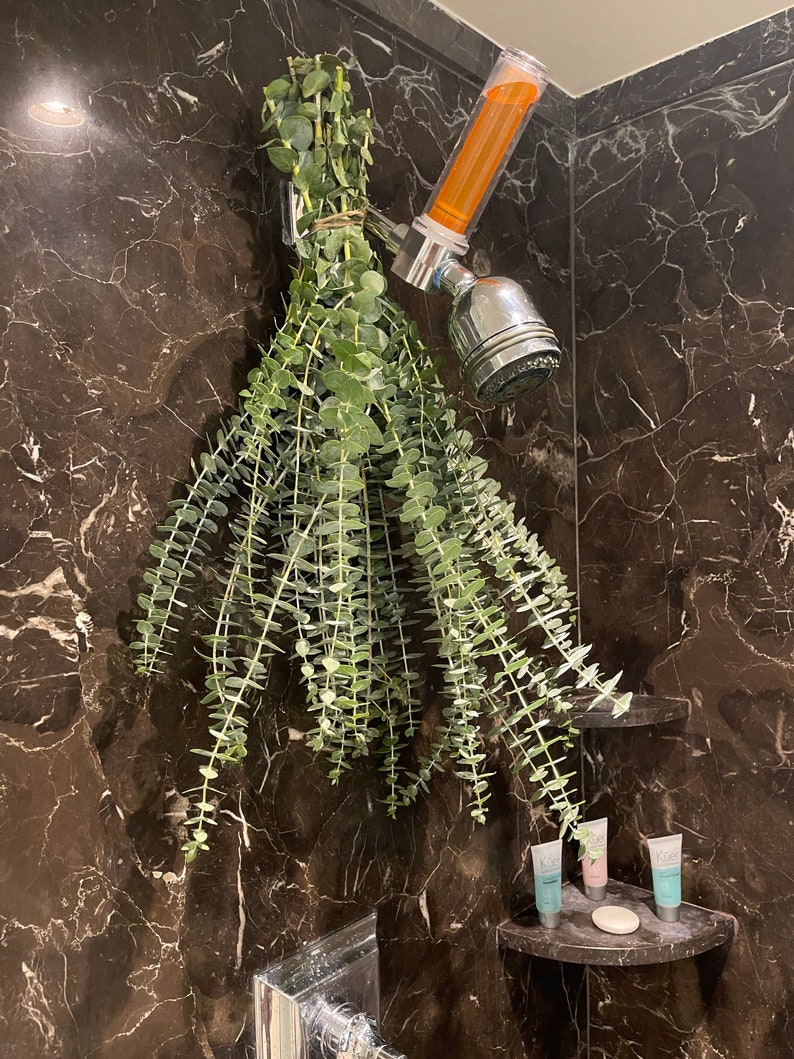 Large Fresh Eucalyptus Shower Bundle Aromatherapy Shower Etsy