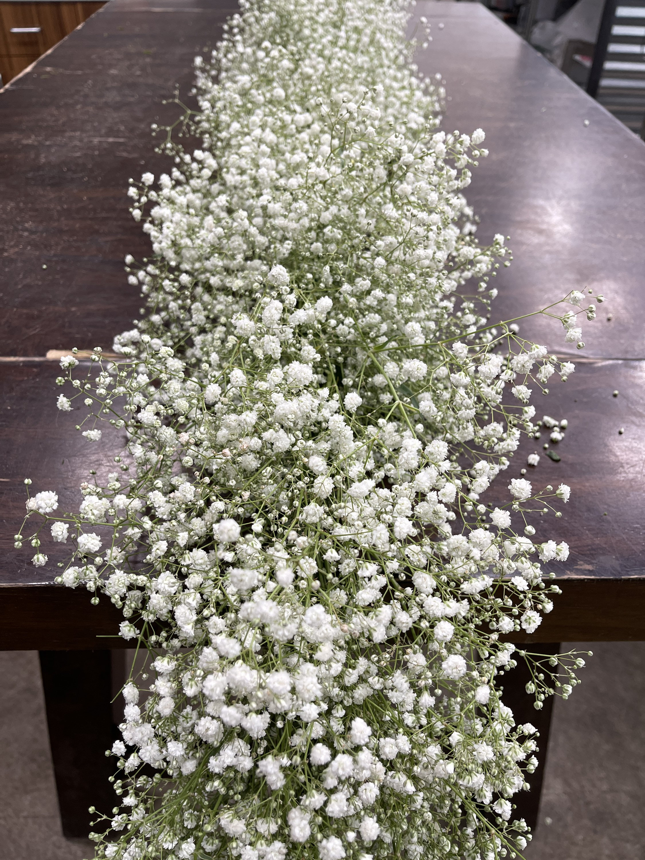 Fresh Premium Baby's Breath Garland for Weddings by Pacific