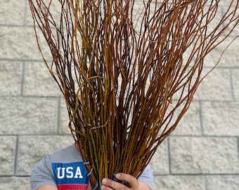 May include: A large bundle of brown willow branches, tied together with blue string. The branches are long and thin, with a natural, rustic look.
