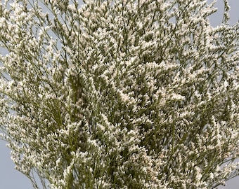 Preserved White Misty Limonium: Dried Wedding Flower Filler
