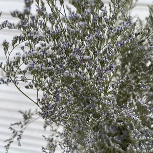 Preserved Blue Misty // Sea Lavender // Caspia // Naturally Grown Blue Misty Lemonium // California Grown image 5