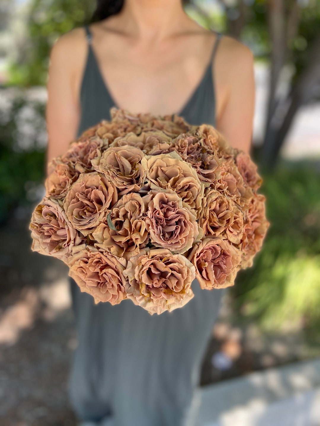 Fresh Toffee Brown Roses Wedding Garden Roses 20 Stem Premium Grower