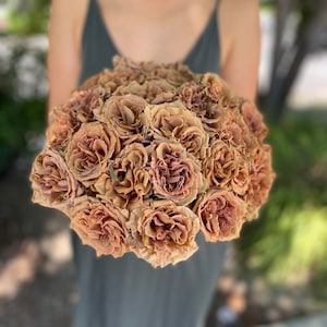 Fresh Toffee Brown Roses | Wedding Garden Roses | 20 Stem Premium Grower Bunch