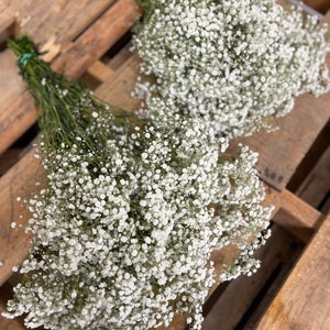 Puede incluir: Dos ramos de aliento de beb&eacute; blanco con tallos verdes sobre una tarima de madera.