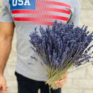 Puede incluir: Una persona con una camiseta gris con la palabra "USA" impresa, sosteniendo un ramo de flores de lavanda secas.
