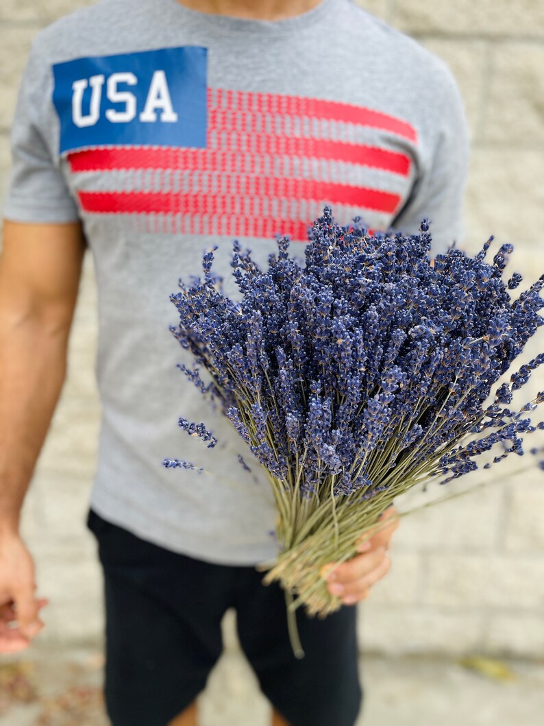 Puede incluir: Una persona con una camiseta gris con la palabra "USA" impresa, sosteniendo un ramo de flores de lavanda secas.