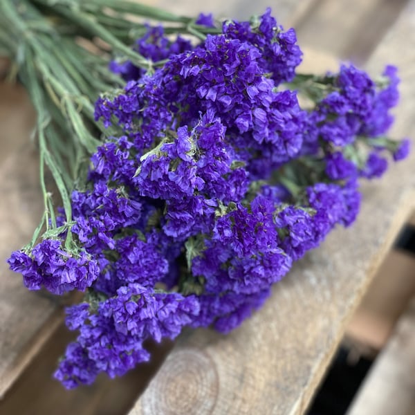 10 stems Preserved Purple Statice// Dried Sea Lavender // Dried Flowers // California Grown Flowers