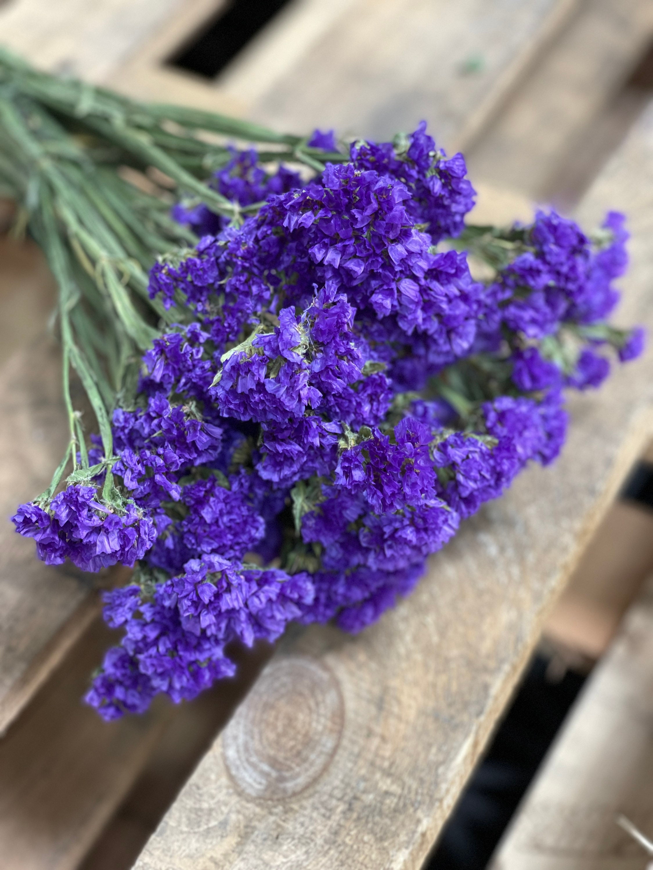 Dried Lavender & Sea Lavender Flowers Bundles - 100% Natural 16 Dry  Flowers Bouquet for Vase, Home Decor, Wedding Party Gifts, Floral  Arrangement