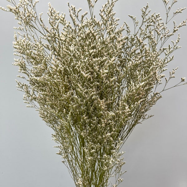 Preserved White Misty // Dried Wedding Flowers // White Caspia // Naturally Grown Misty Lemonium // California Grown