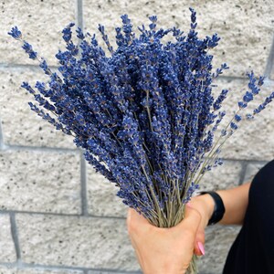 Puede incluir: Un ramo de flores de lavanda secas en tonos de morado y azul. Los tallos son largos y delgados, y las flores est&aacute;n apretadas.