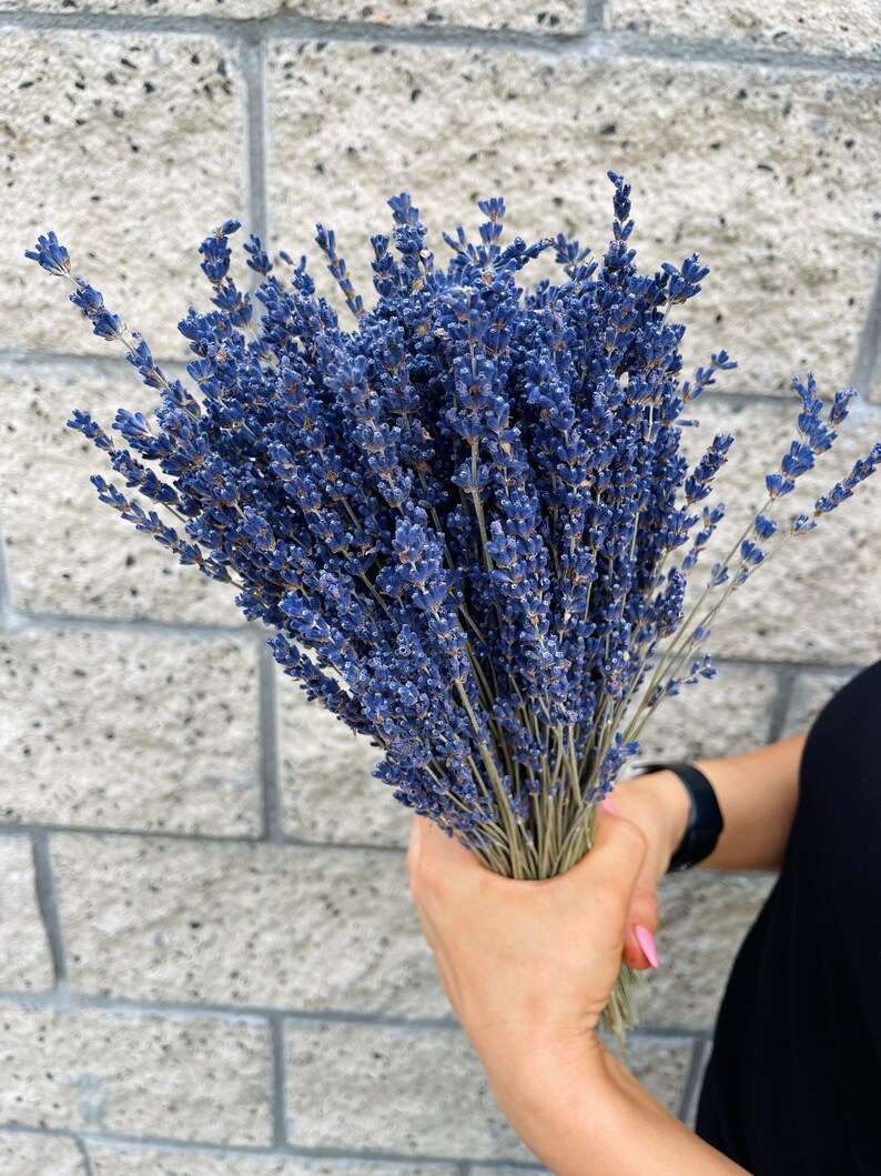 Puede incluir: Un ramo de flores de lavanda secas en tonos de morado y azul. Los tallos son largos y delgados, y las flores est&aacute;n apretadas.