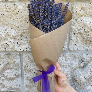 fragrant lavender