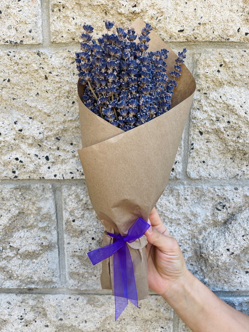 fragrant lavender
