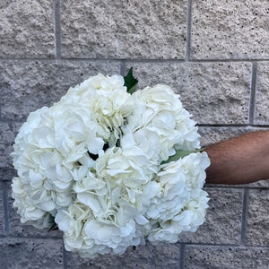May include: A large bouquet of white hydrangea flowers. The blossoms are tightly packed, creating a full, round shape. The flowers are held against a gray brick wall. The bouquet is a bright, clean white.