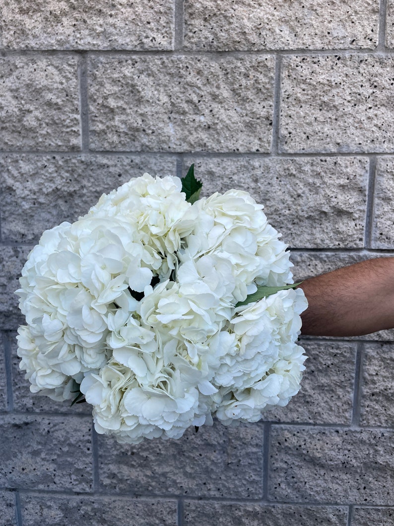 May include: A large bouquet of white hydrangea flowers. The blossoms are tightly packed, creating a full, round shape. The flowers are held against a gray brick wall. The bouquet is a bright, clean white.