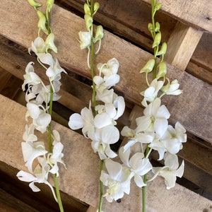 May include: Three stems of white orchids with green stems and buds. The orchids are arranged on a wooden pallet.