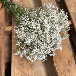 Puede incluir: Un ramo de flores blancas de aliento de beb&eacute; sobre una superficie de madera.