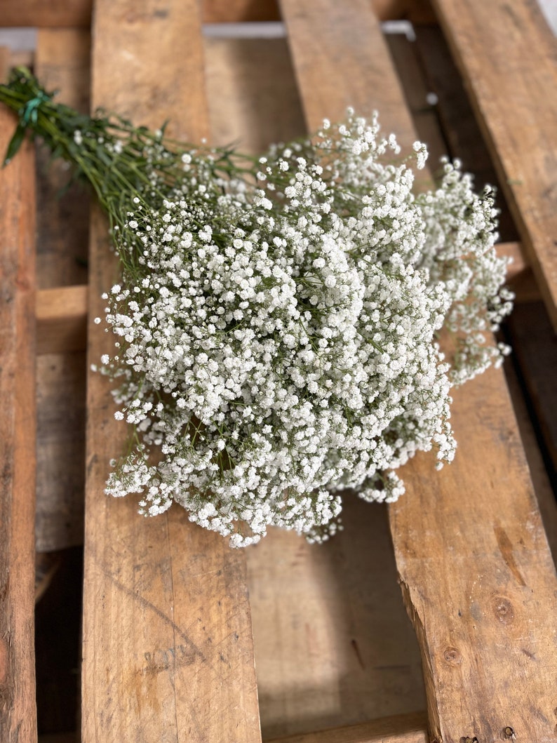 Puede incluir: Un ramo de flores blancas de aliento de beb&eacute; sobre una superficie de madera.