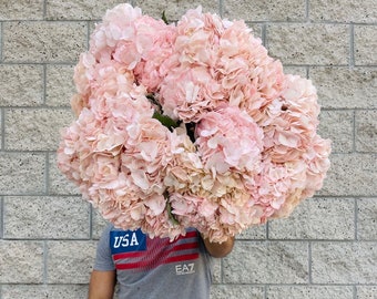 30 XL Hydrangea Stems // Fresh Blush Hydrangea // Fresh Wedding Flowers // Blush Wedding Flowers
