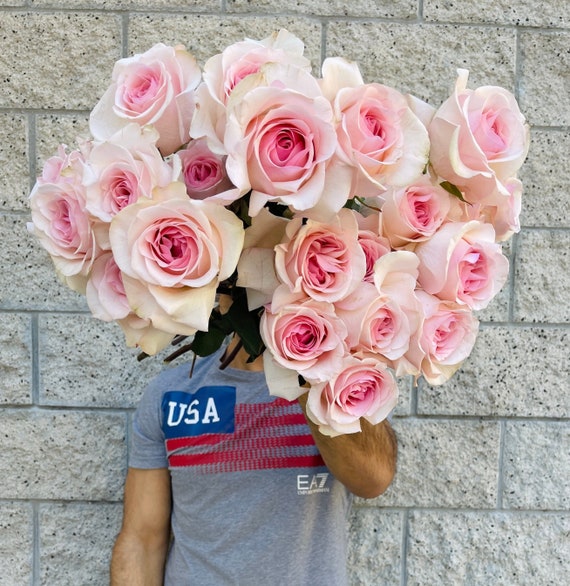48 Fresh Cut Pink Roses