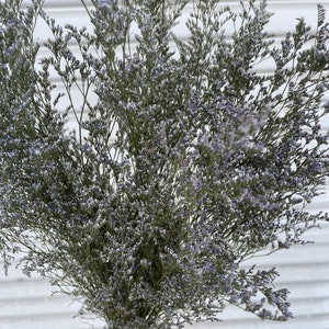 Preserved Blue Misty // Sea Lavender // Caspia // Naturally Grown Blue Misty Lemonium // California Grown image 4