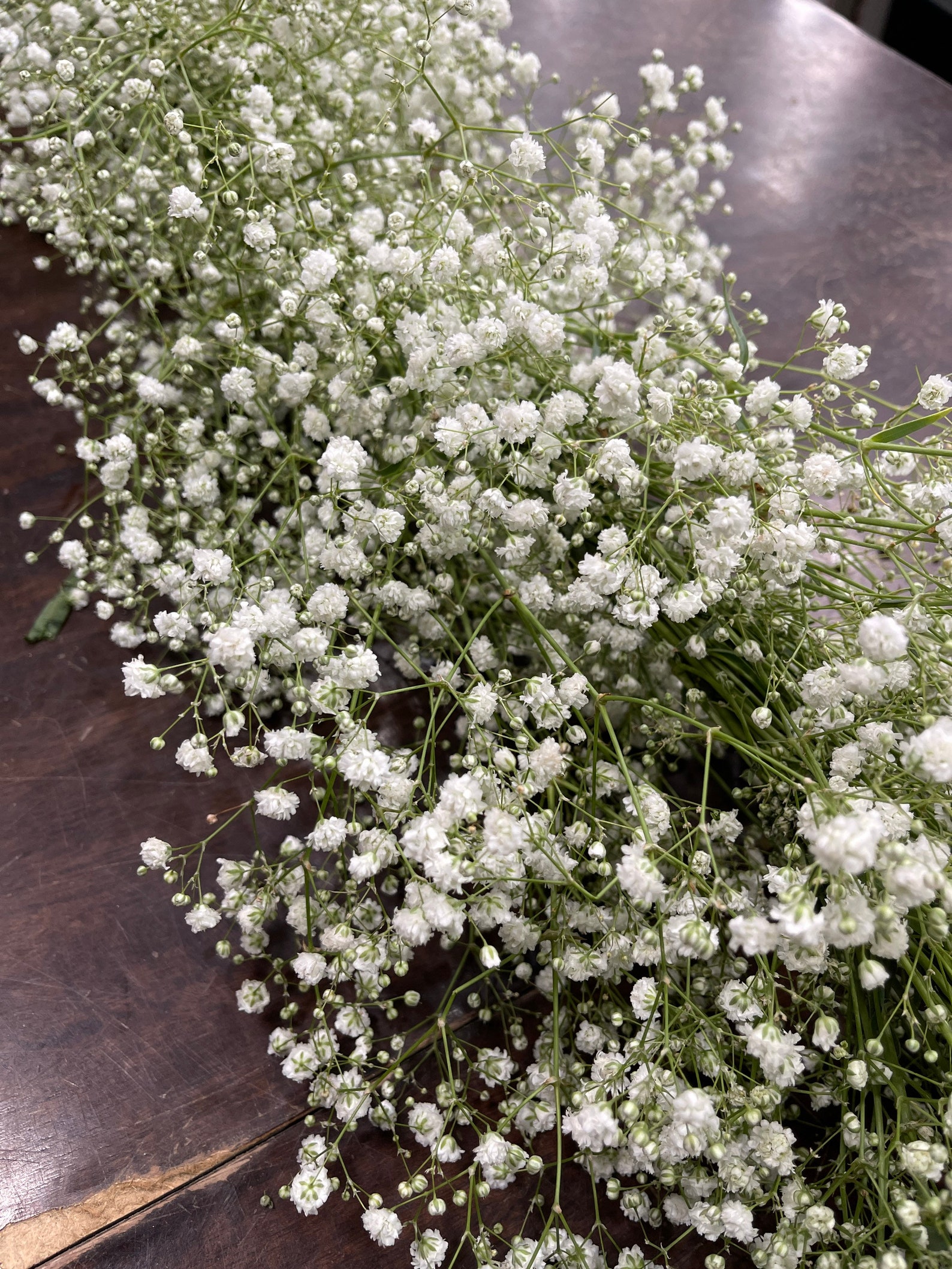 Fresh Babys Breath Garland & Gypsophila Garland // Natural Combo Garland // Wedding Garland