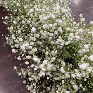 Op de afbeelding: Een bos witte baby's breath bloemen met groene stelen. De bloemen zijn gerangschikt in een lange, vloeiende krans.