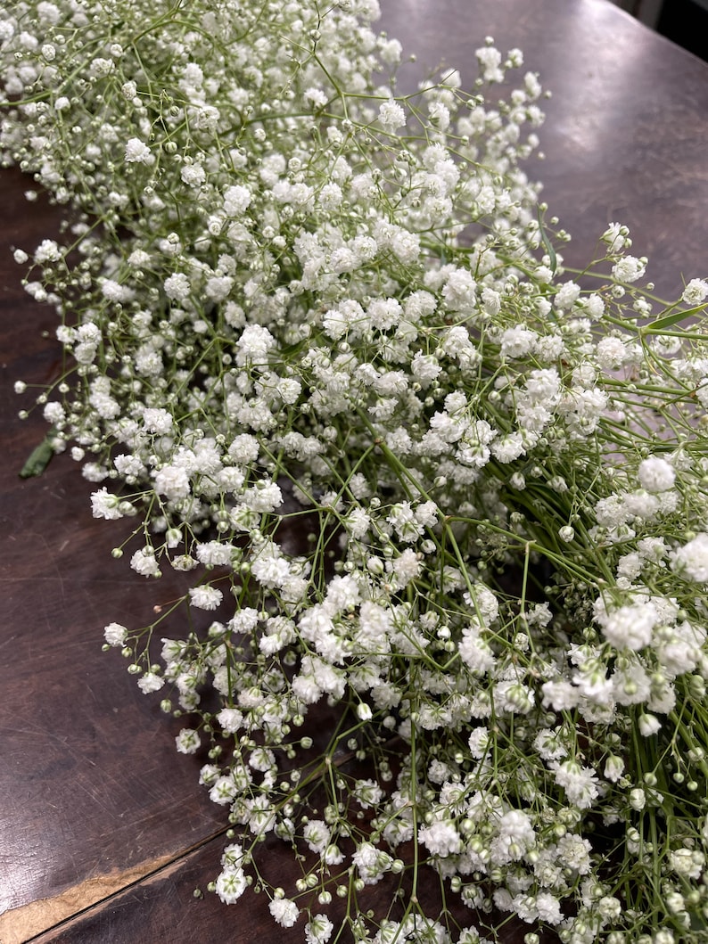 Op de afbeelding: Een bos witte baby's breath bloemen met groene stelen. De bloemen zijn gerangschikt in een lange, vloeiende krans.