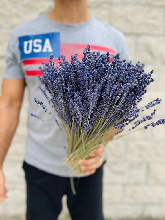 Lavender Bouquet - 600 Fragrant Stems - Vibrant Purple Lavender Stems - Wedding Flowers - Gifts - Dried Lavender