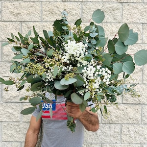 Fresh Babys Breath & Eucalyptus Mix Bouquet, California Grown Eucalyptus, Silver Dollar, Seeded Eucalyptus, Baby Eucalyptus, Babys Breath