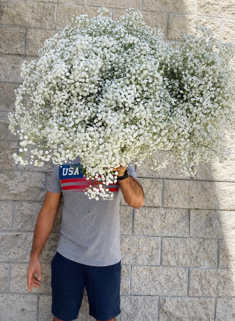 babysbreath bouquet