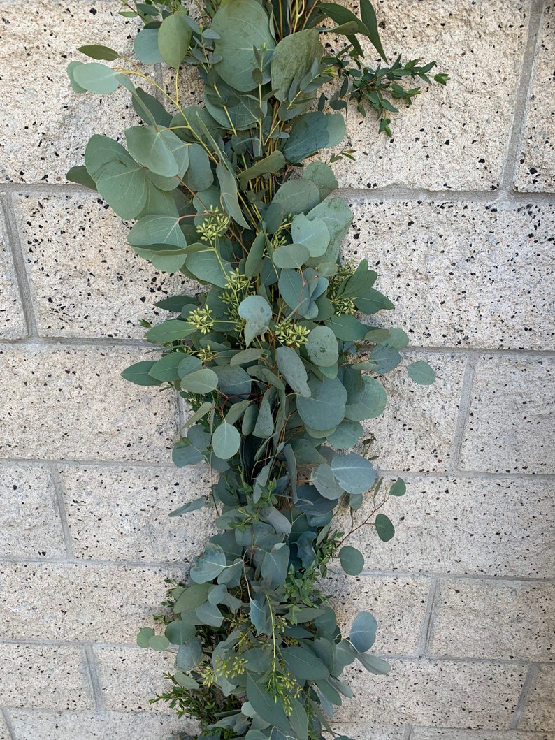 Fresh Eucalyptus Garland // Natural Silver Dollar & Seeded Etsy