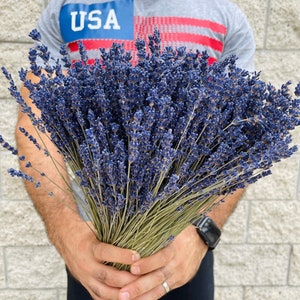 Puede incluir: Un gran ramo de flores de lavanda secas en tonos de morado y azul. El ramo lo sostiene una persona que lleva una camisa gris con la palabra "USA" impresa.